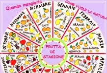 Frutta di Stagione